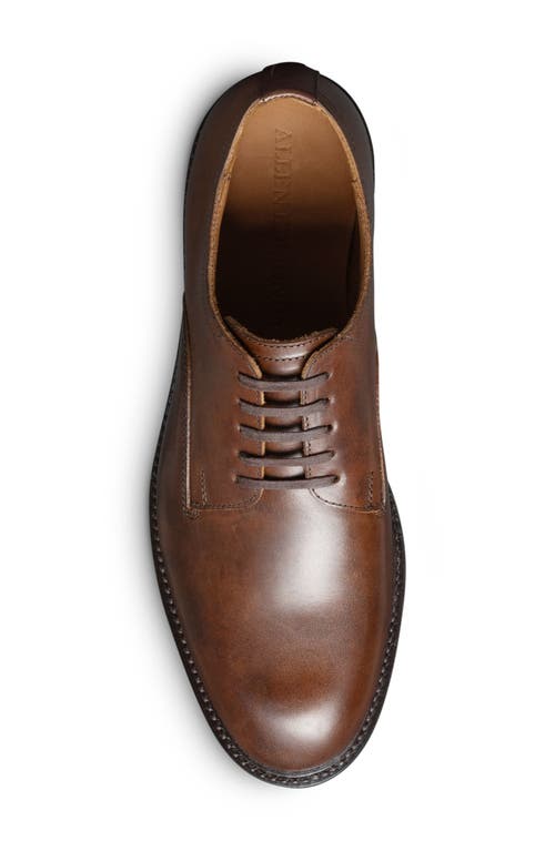 Allen Edmonds Trevor Derby In Tobacco