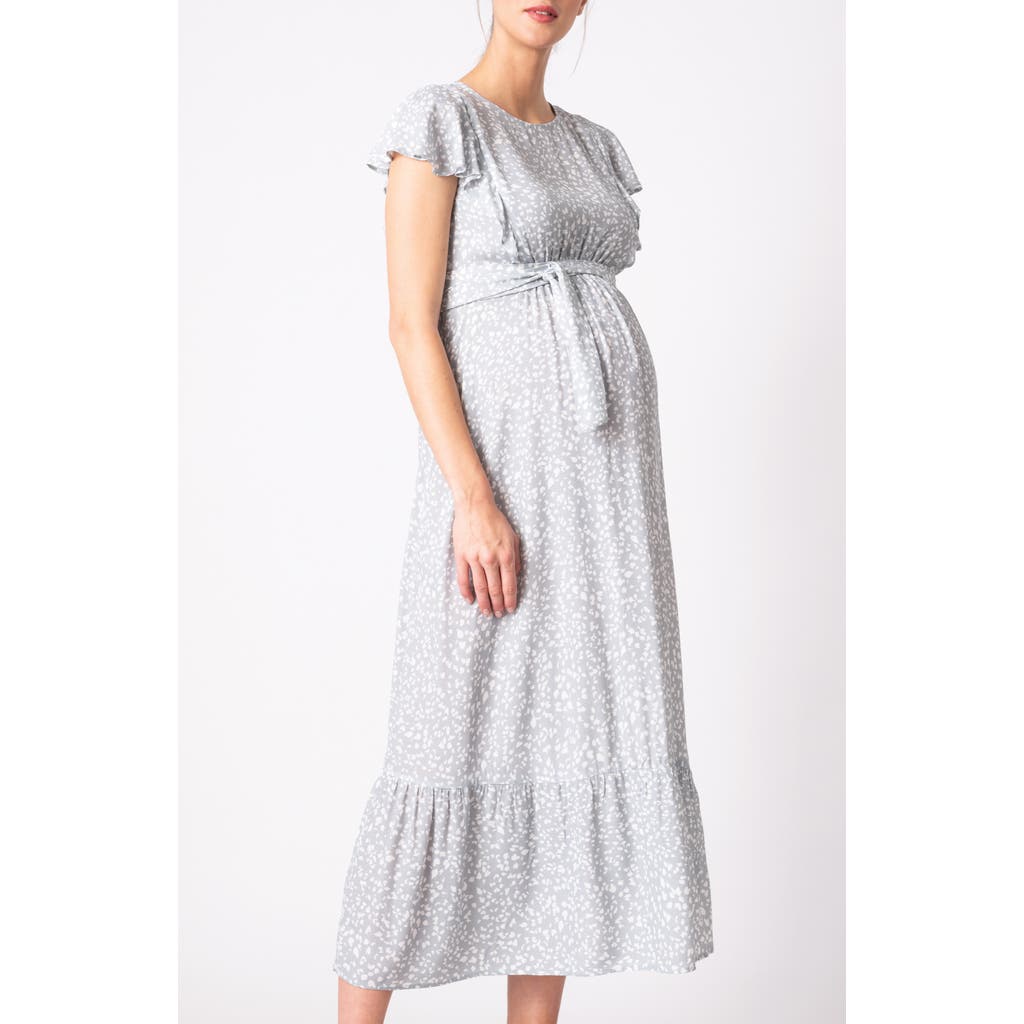 Seraphine Sage Maternity/nursing Dress In Gray