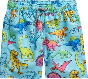 Mens dinosaur hot sale swim trunks