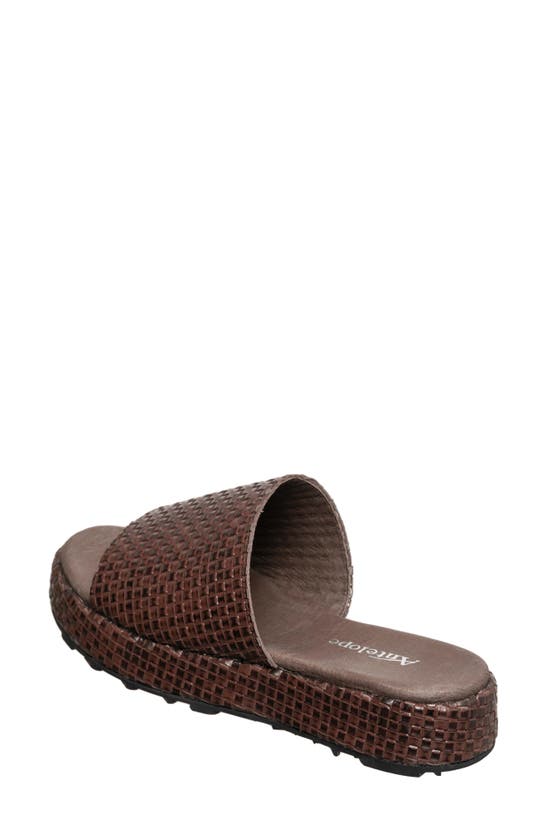 Shop Antelope Brea Woven Leather Slide Sandal In Coffee Leather