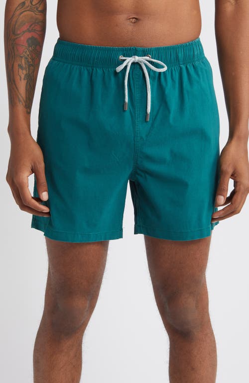 Vintage Summer Volley Swim Trunks Green at Nordstrom,