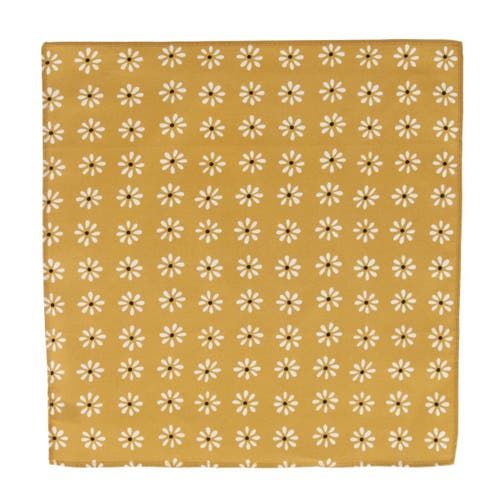 Shop Trafalgar Mary's Rose Daisy Cotton Handkerchiefs In Black, White, Gold