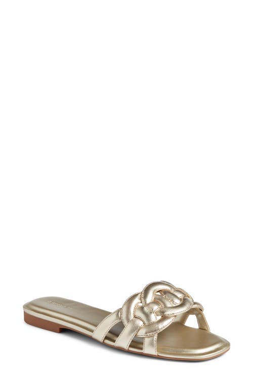 Carolina Slide Sandal in Gold Metallic