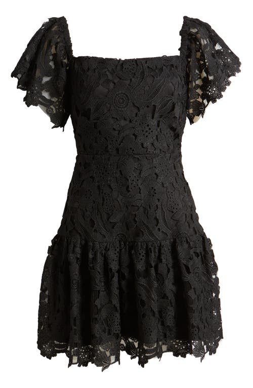 Shop Chelsea28 Flutter Sleeve Lace Minidress In Black