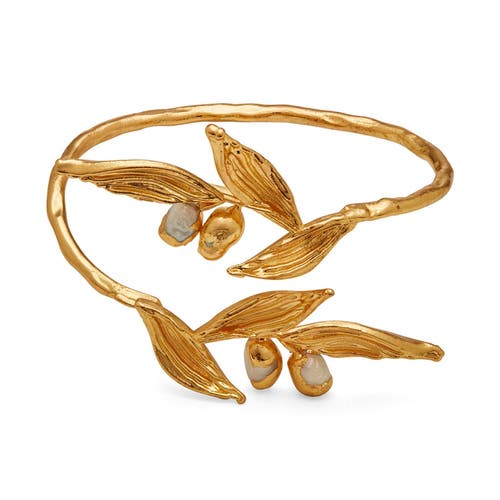 Dhwani Bhansal Haya Bracelet In Gold Plated