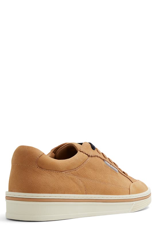 Shop Ted Baker Hampstead Sneaker In Light Brown