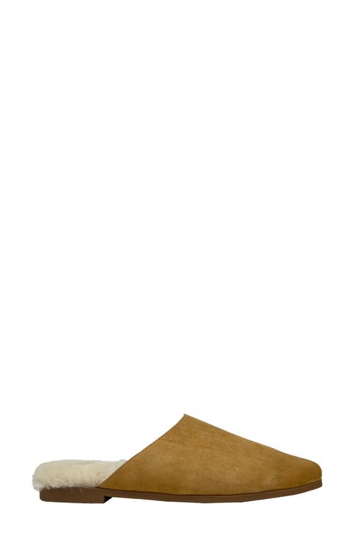 Yosi Samra Zoe Genuine Shearling Lined Mule In Whiskey