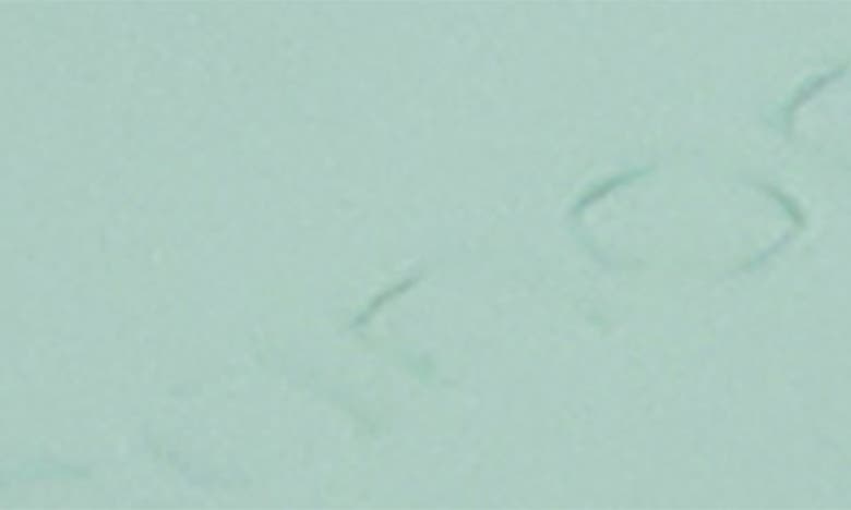 Canopy Waterless Diffuser In Green