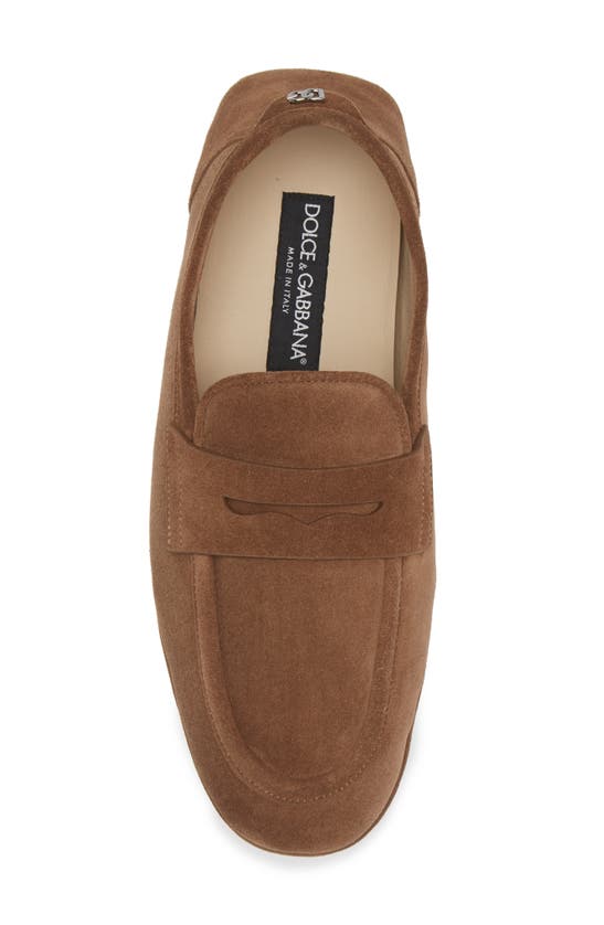 Dolce & Gabbana Brown Driver Loafers In Nocciola