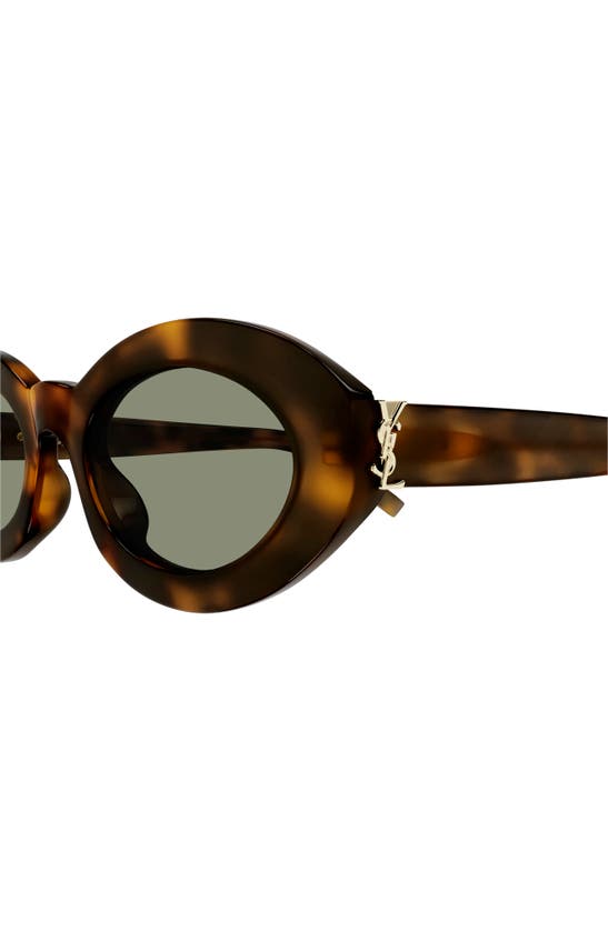 Shop Saint Laurent 52mm Round Sunglasses In Havana