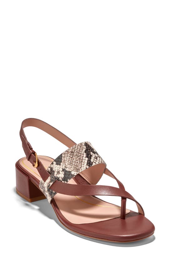 Shop Cole Haan Anica Lux Slingback Sandal In Sandollar Print Soho
