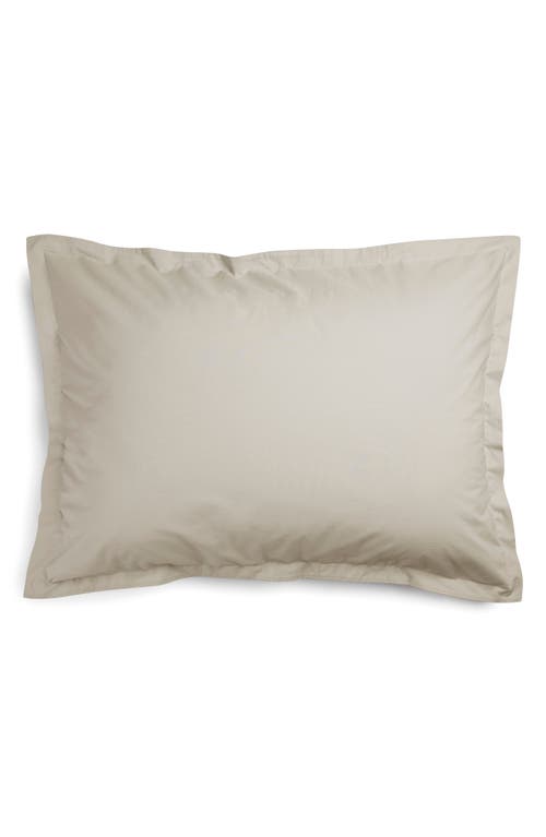 Parachute Set Of 2 Brushed Cotton Shams In Bone