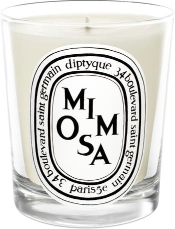 Mimosa Scented Candle