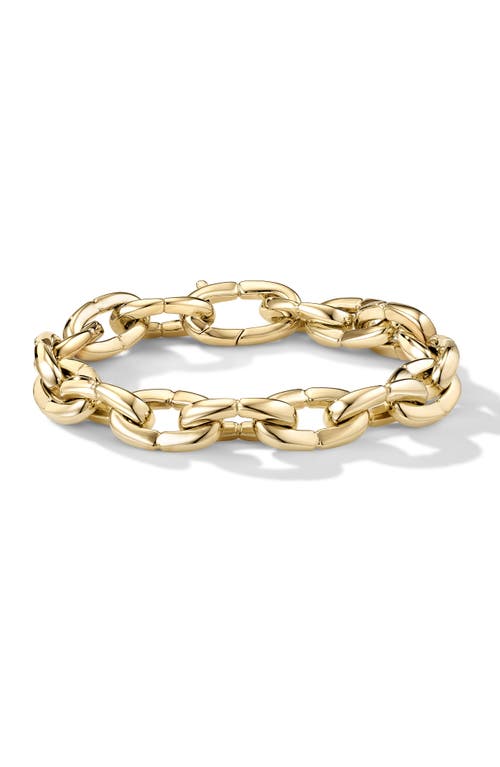 The Brazen Chain in Gold