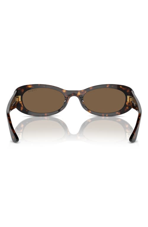 Shop Vogue 53mm Oval Sunglasses In Dark Havanah/dark Brown