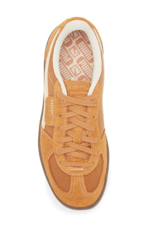 Shop Puma Palermo Sneaker In Caramel Latte-vanilla-gum