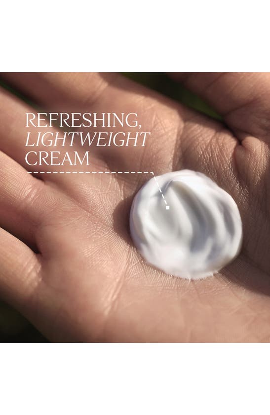 Shop L'occitane Artichaut Massage Cream, 6.9 oz In White