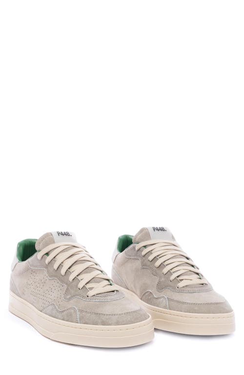 P448 Bali Sneaker In Prato/cream