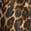 selected Cheetahlicious color
