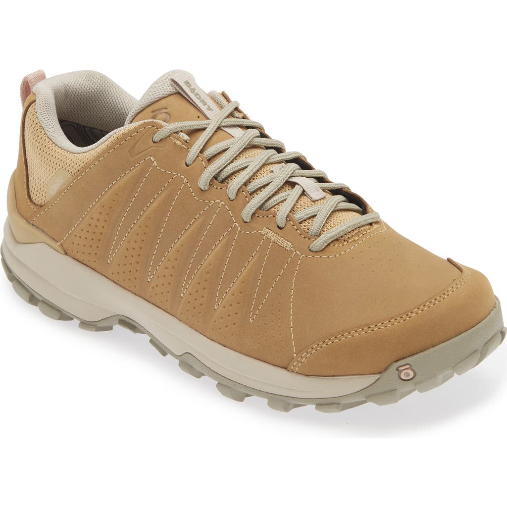 Oboz Sypes Low B-dry Hiking Sneaker In Acorn