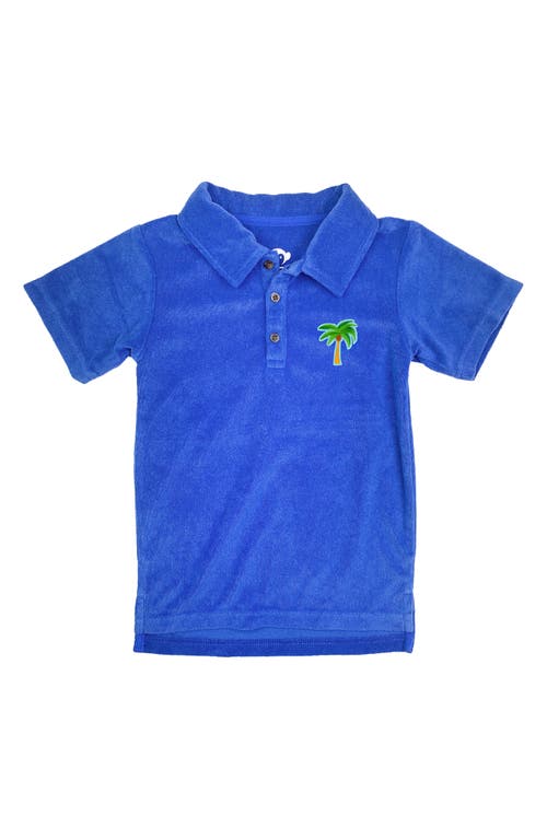 Appaman Kids' Fairbanks Terry Polo Surf The Web at Nordstrom,