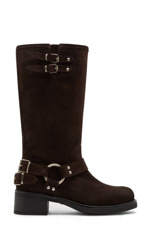 Steve Madden Astor Knee High Moto Boot In Brown Sued