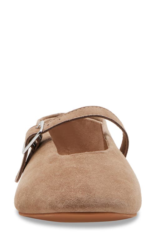 Shop Steve Madden Dreaming Mary Jane Flat In Taupe Suede
