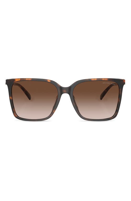 Michael Kors Canberra 56mm Square Sunglasses in Dk Tort at Nordstrom