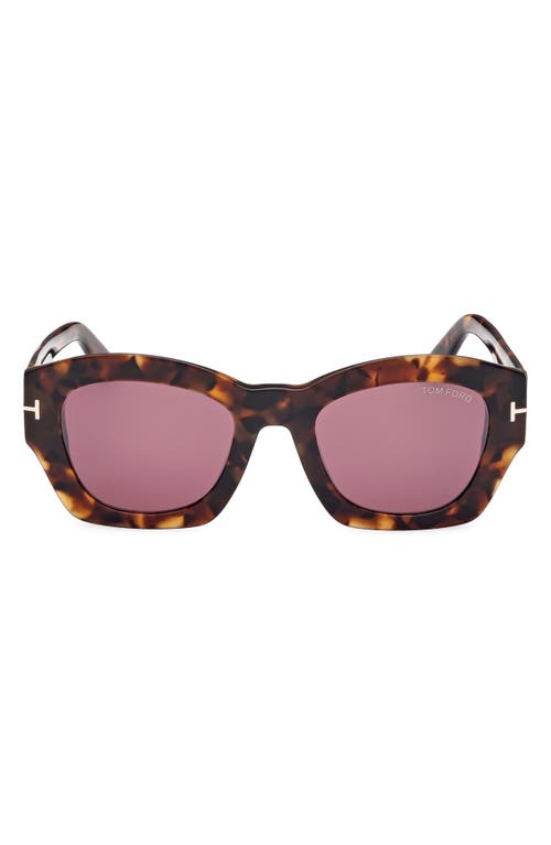 Shop Tom Ford Guilliana 52mm Geometric Sunglasses In Shiny Dark Havana/bordeaux