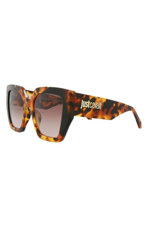 Just Cavalli 53mm Square Sunglasses In Havana Havana Brown
