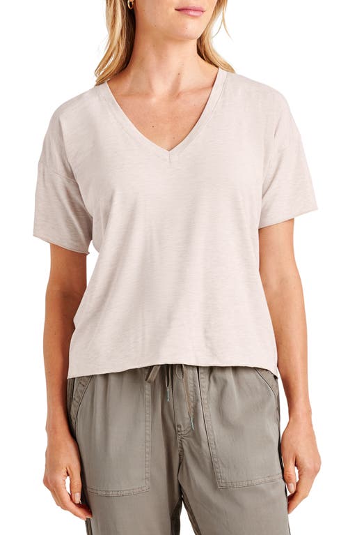 Splendid V-neck Jersey T-shirt In Oat Heather