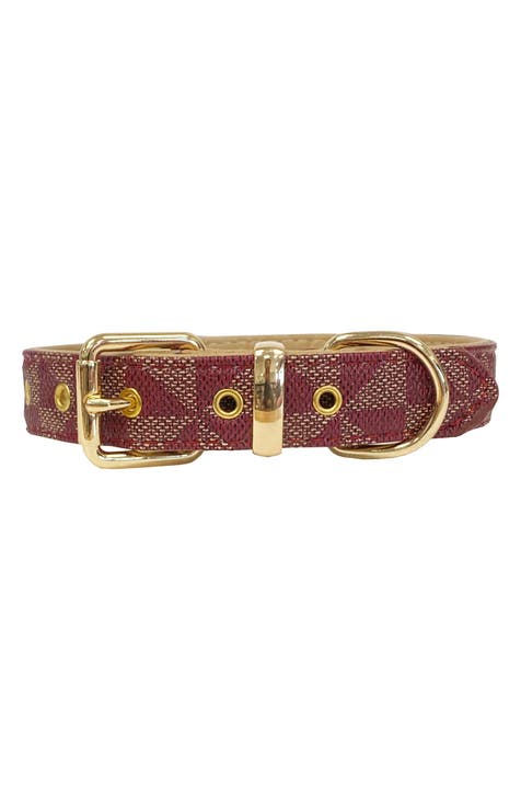 Stylin' and Sporting a Louis Vuitton dog Collar