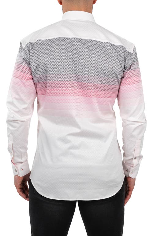 Maceoo Fibonacci Jacqdegrade Pink Contemporary Fit Button-up Shirt In Pink