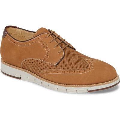 Johnston & Murphy J & m 1850 Martell Wingtip, Brown