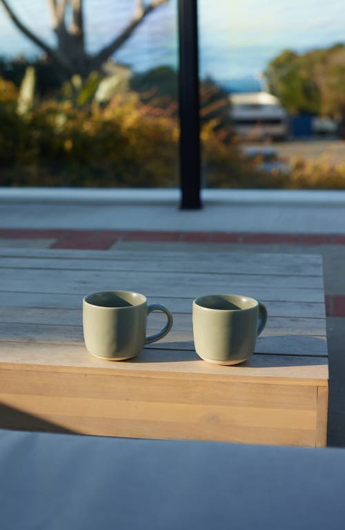 Shop Fable The Mugs Set Of 4 Stoneware Mugs In Beachgrass Green