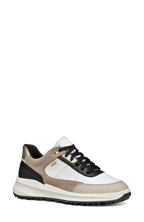 Shop Geox Pg1x Abx Waterproof Sneaker In White/light Taupe