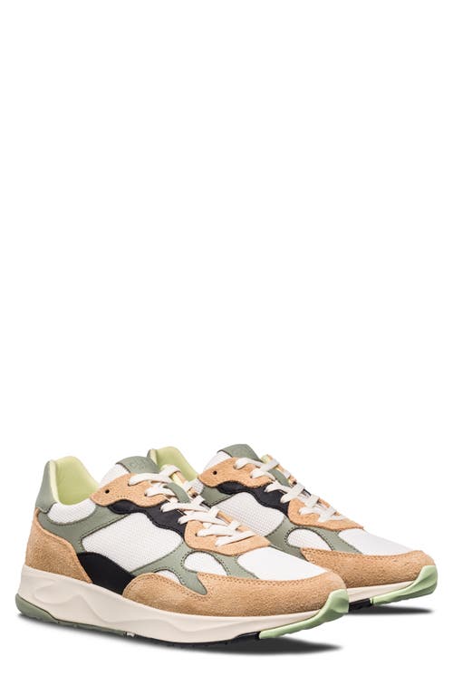 Zuma Sneaker in Starfish Suede Tea