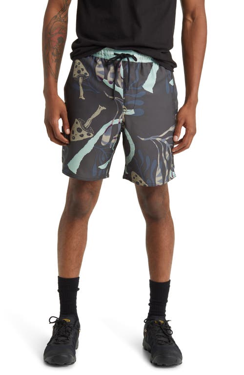Complex Hybrid Shorts in Grey/Teal