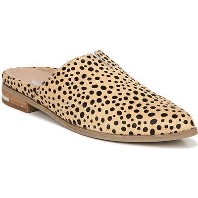 Dr. Scholl