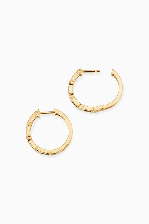 Oradina 14k Gold Crown Jewels Hoops In Gold - Blue Sapphire