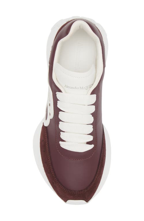 Alexander Mcqueen Seal Runner Sprint Sneaker In Burgundy/white