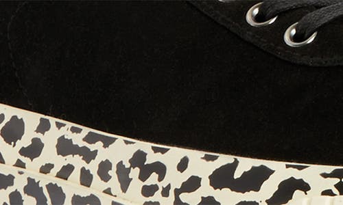 Allsaints Knox Sneaker In Black Leopard