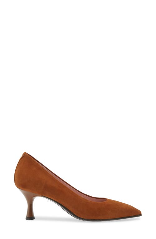 Shop Naot Margot Pointed Toe Pump In Brown Suede