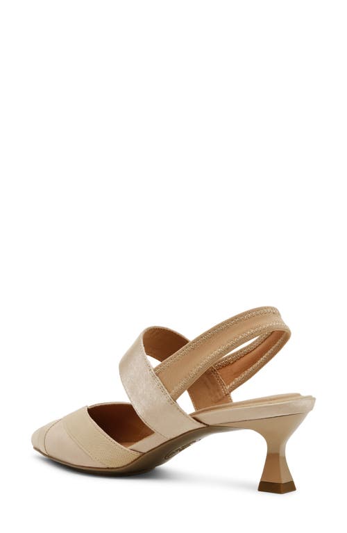 Shop Anne Klein Ireland Kitten Heel Pointed Toe Pump In Natural