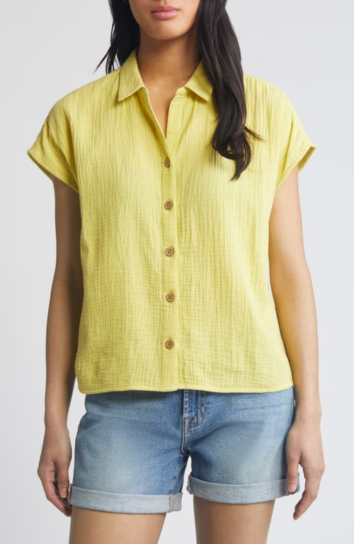 beachlunchlounge Amar Cotton Button-Up Shirt in Fresh Verbena at Nordstrom, Size Large
