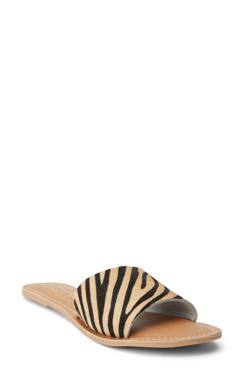 BEACH BY MATISSE Coconuts by Matisse Cabana Slide Sandal in Natural Zebra