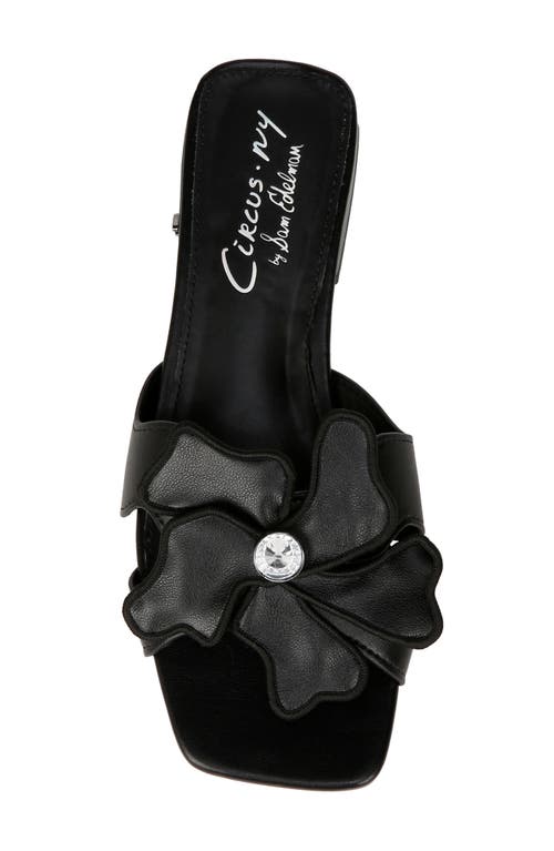 Shop Circus Ny By Sam Edelman Jolie Sandal In Black