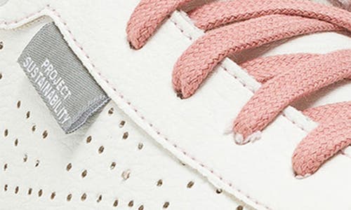 Shop P448 Taylor High Top Sneaker In White/pink