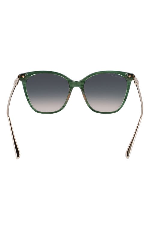 Longchamp Roseau 55mm Rectangular Sunglasses In Striped Green