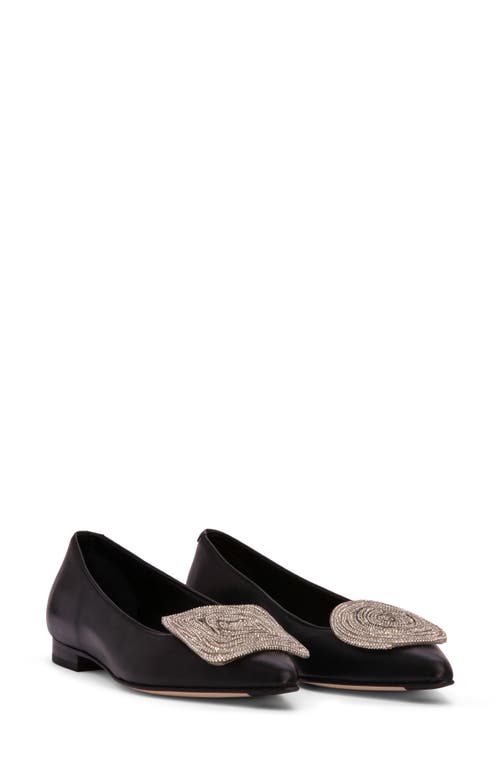Bonnie Pointed Toe Ballet Flat in Black